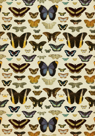 Pattern Borboletas Vintage nº 1