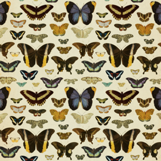 Pattern Borboletas Vintage nº 1