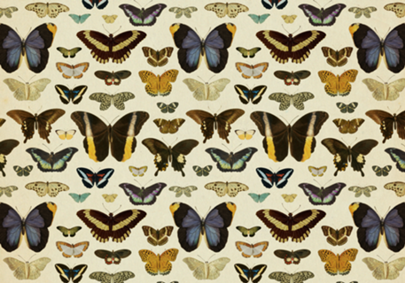 Pattern Borboletas Vintage nº 1