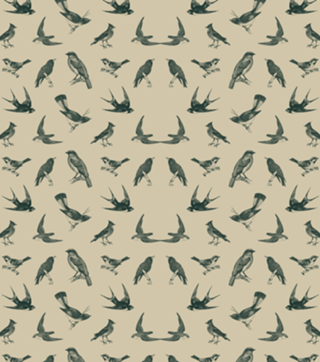 Pattern Pássaros Vintage nº 1