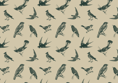 Pattern Pássaros Vintage nº 1