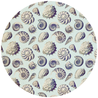 Pattern Conchas Vintage nº 2