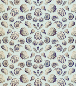 Pattern Conchas Vintage nº 2