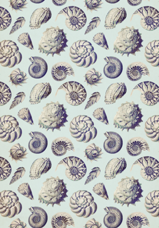 Pattern Conchas Vintage nº 2