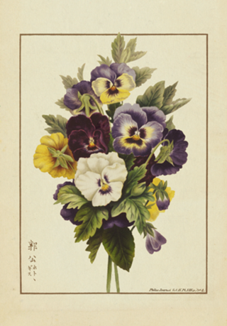 Flores Vintage nº 9