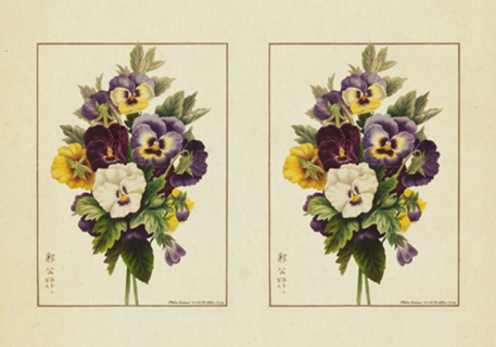 Flores Vintage nº 9