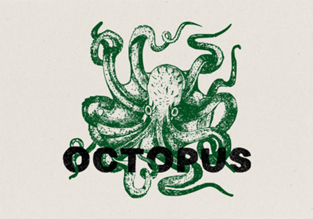 Octopus