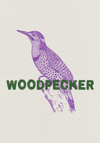 Woodpecker