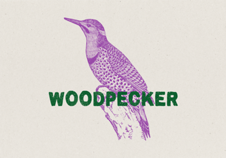 Woodpecker