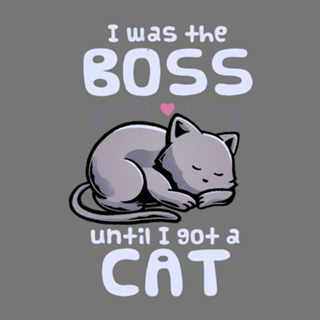 I Was the Boss