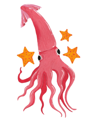 Lulinhas estreladas