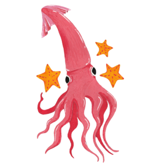 Lulinhas estreladas