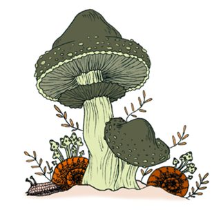 Cogumelos terrosos