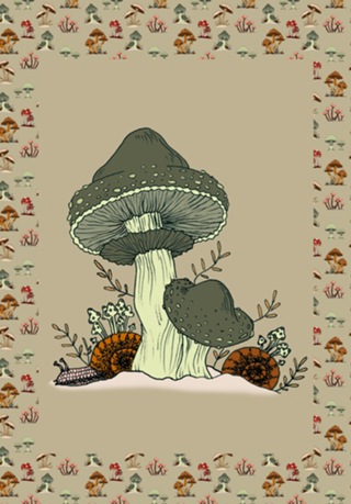 Cogumelos terrosos