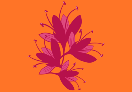 Doçura Laranja