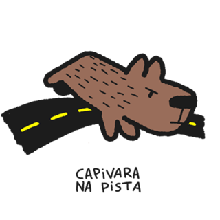Capivara na pista