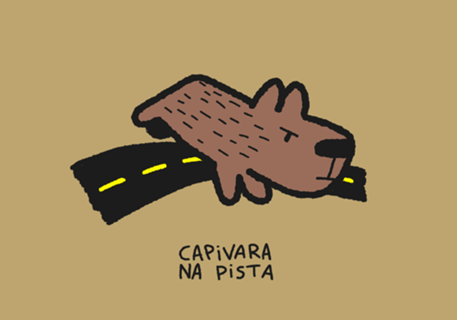 Capivara na pista