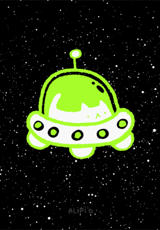 Gato Espacial