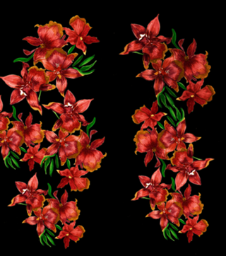 Orquídeas vermelhas no fundo preto