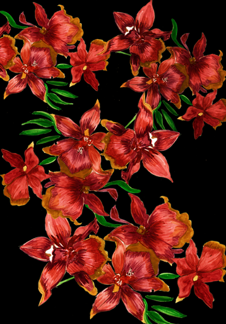 Orquídeas vermelhas no fundo preto