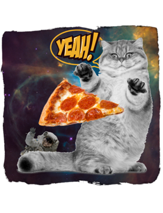 SiderCat Pizza