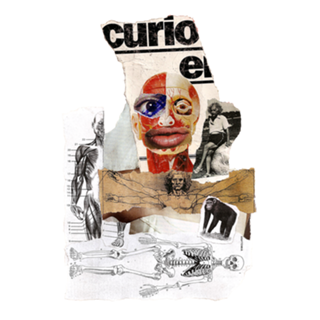 'Tirando eu, sou mais o Einstein.' (Macaco)