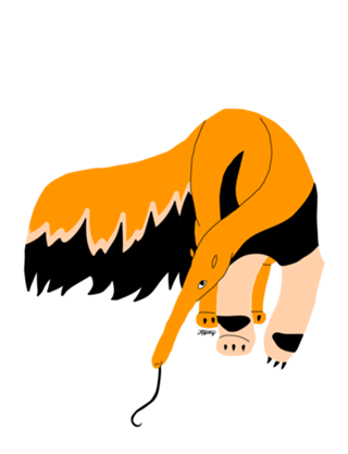 Tamanduá bandeira