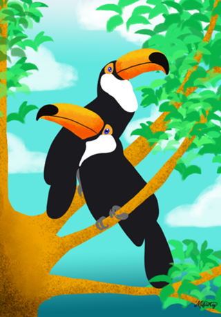 Tucanos - Coleção Fauna Brasileira