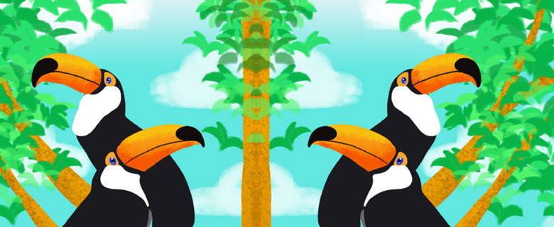 Tucanos - Coleção Fauna Brasileira