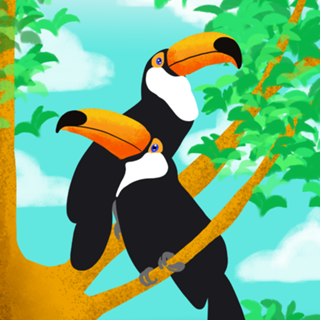 Tucanos - Coleção Fauna Brasileira