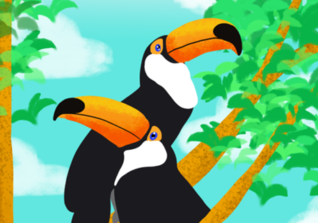 Tucanos - Coleção Fauna Brasileira