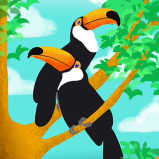 Tucanos - Coleção Fauna Brasileira