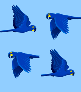Arara azul
