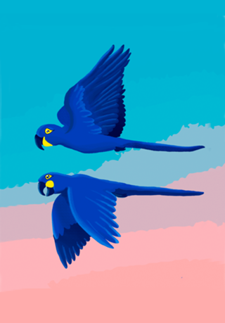 Arara azul