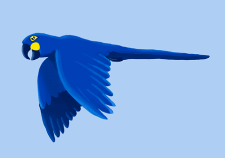 Arara azul