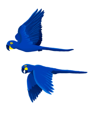 Arara azul