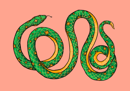 Cobra Estrela
