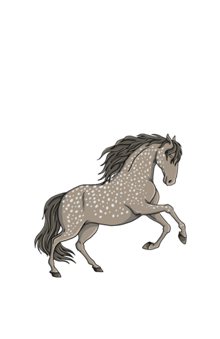 Cavalo cinza - Coleção Western
