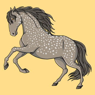 Cavalo cinza - Coleção Western