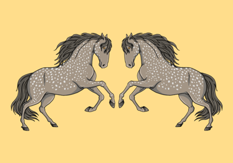Cavalo cinza - Coleção Western