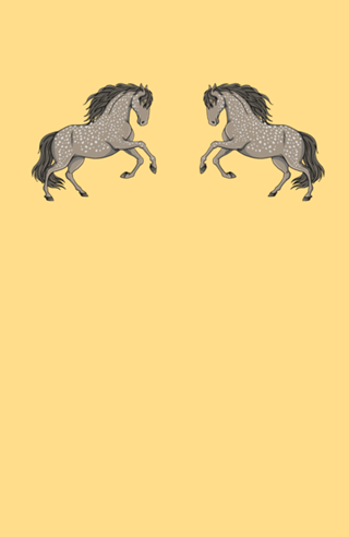 Cavalo cinza - Coleção Western