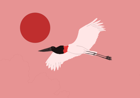 Tuiuiú - Jabiru mycteria