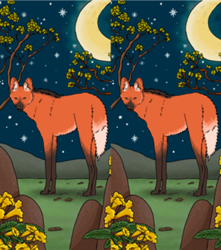 Lobo Guará e a flor de ipê - Animais Brasileiros