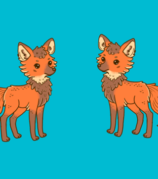 Lobo Guará - Coleção Fauna Fofa