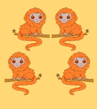 Mico-Leão-Dourado - Coleção Fauna Fofa