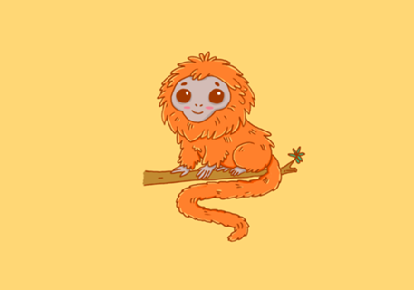 Mico-Leão-Dourado - Coleção Fauna Fofa