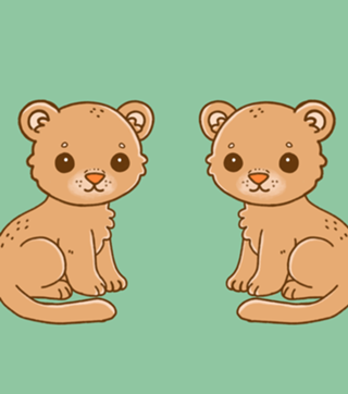 Onça Parda - Coleção Fauna Fofa