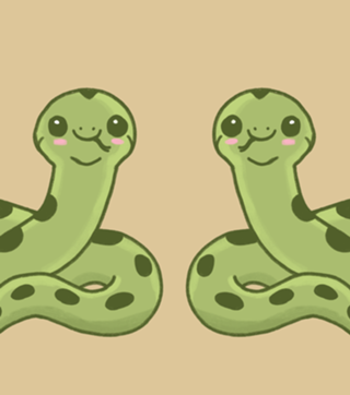 Sucuri - Fauna Fofa