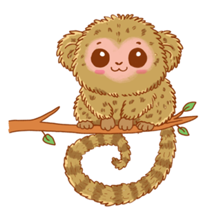 Sagui Pigmeu - Fauna Fofa