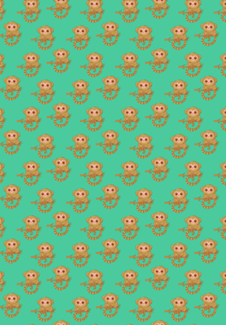Sagui Pigmeu - Fauna Fofa